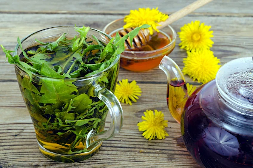 Dandelion Leaf Tea Recipe