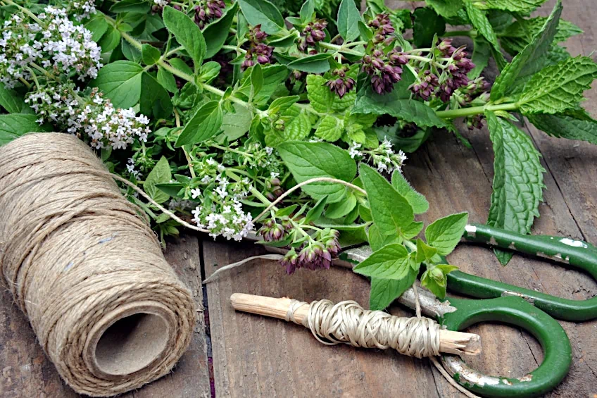 How to Air-Dry Mint
