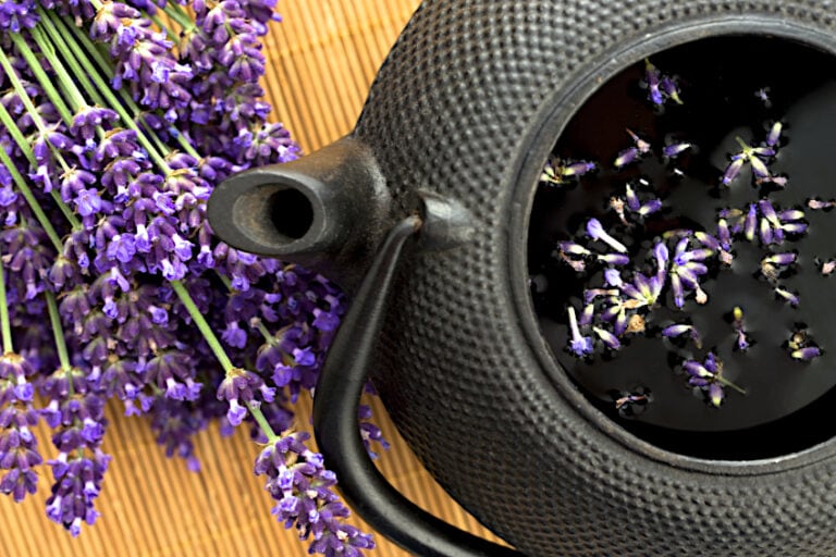 Lavender Tea Benefits