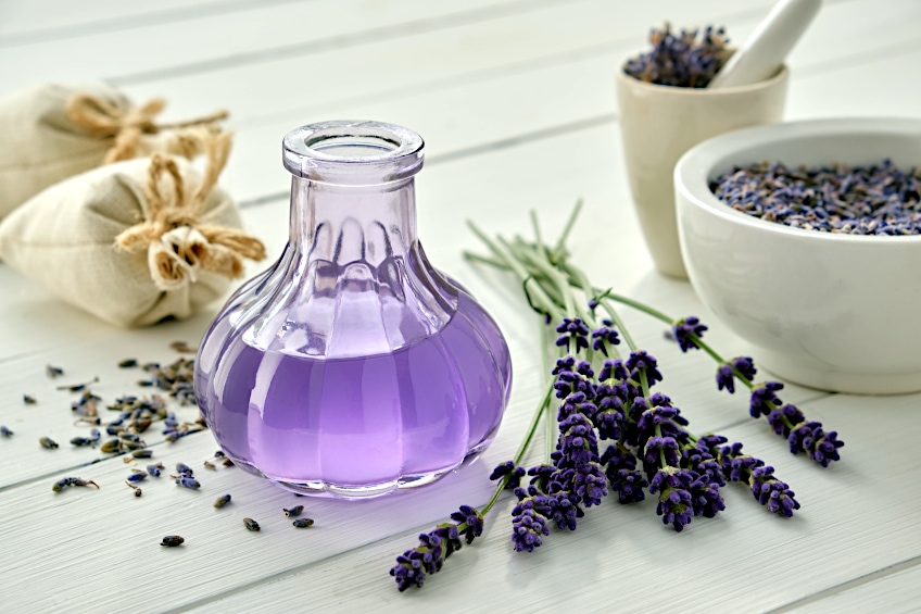 Lavender Used for Healing