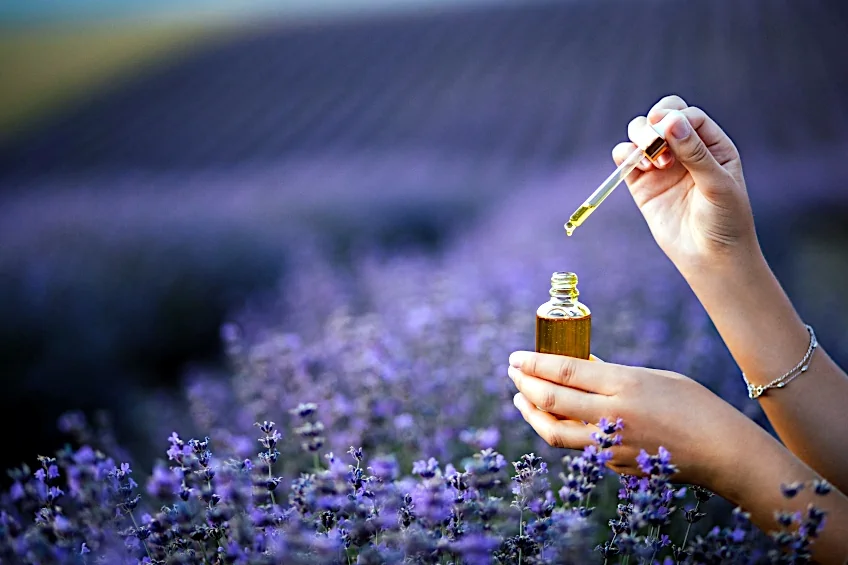 Choosing a Carrier Oil for Lavender