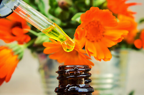 How to Make Calendula Oil - A Homemade Calendula Oil Recipe