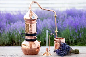 How to Make Lavender Essential Oil