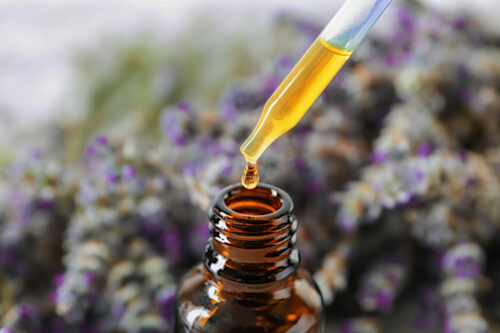 How to Make Lavender Essential Oil - DIY Lavender Oil Recipes